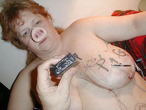 Free truie sau pig humiler photos
