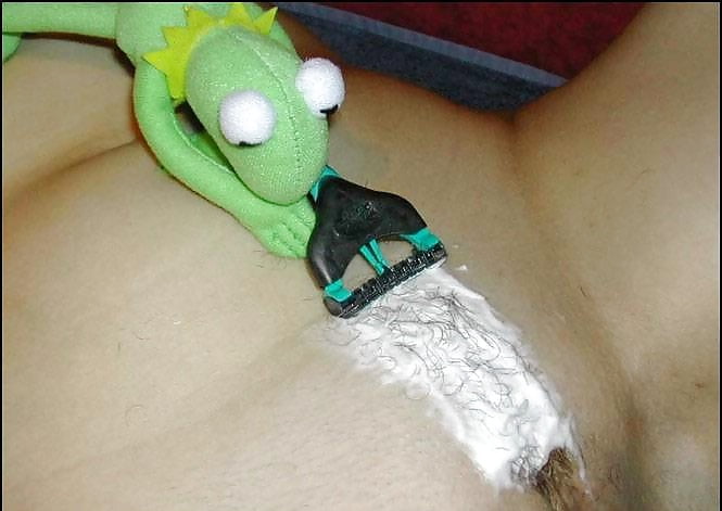 Kermit Porn