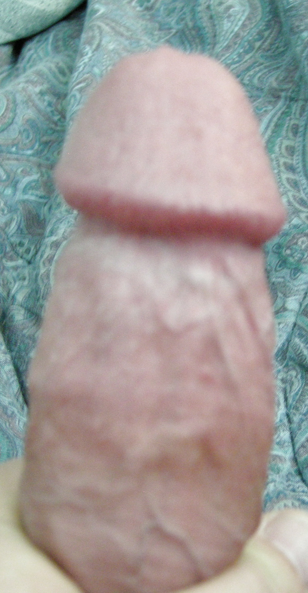 Free do you like my cock photos