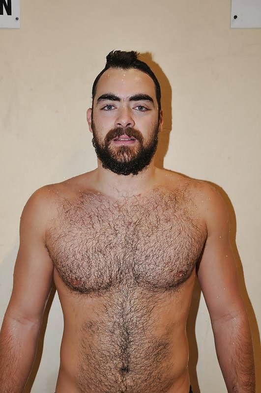 Free sexy hairy chest photos