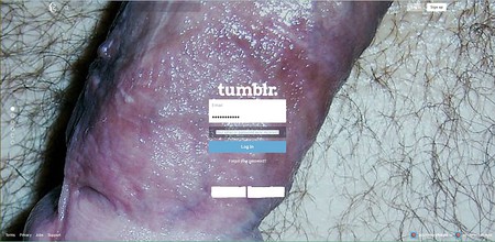 XHAMSTER