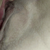 CLOSE UP Pussy Licking GIF