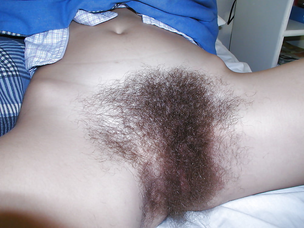 Free Hairy Pussy photos