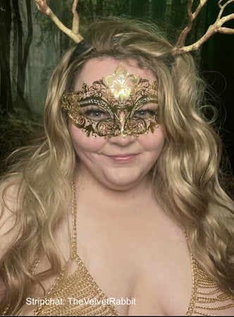 velvet rabbit free photos         