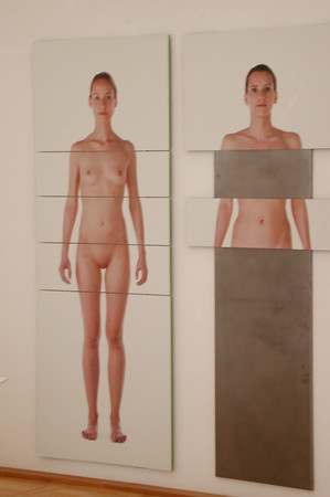 artwork - puzzle of female beauty ideal - 2010