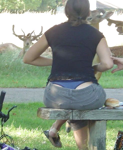 Free Whale Tails pt6 photos