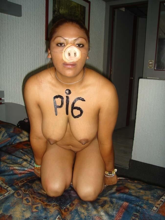Pig - 9 Photos 