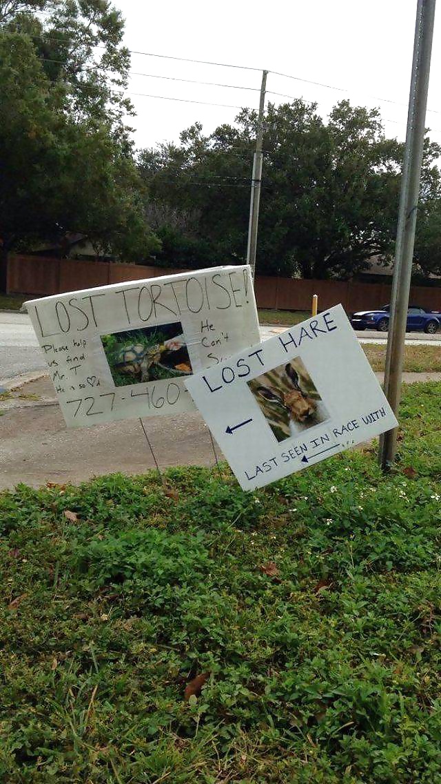 Free Girls and Diverses 64 photos