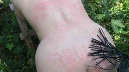 whip my back in public forest         