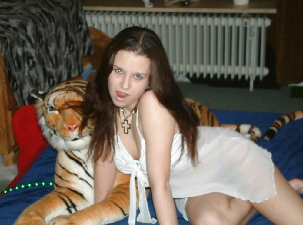 Free Tiger    Lilly photos