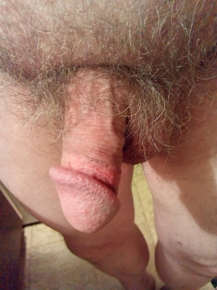 Small Hairy Cock