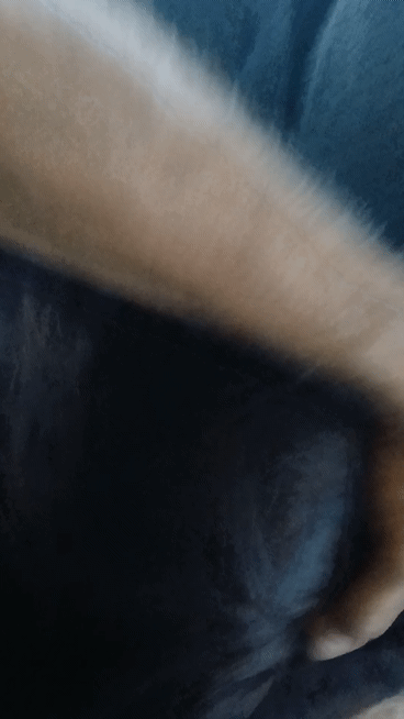She gifs me head