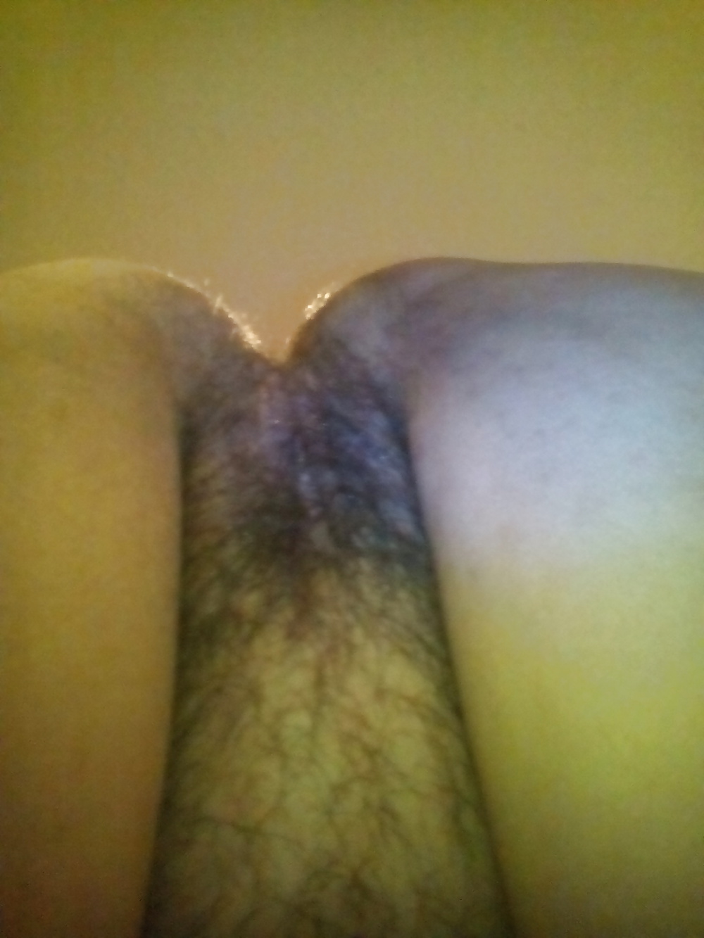 Free 27-12-2015 photos