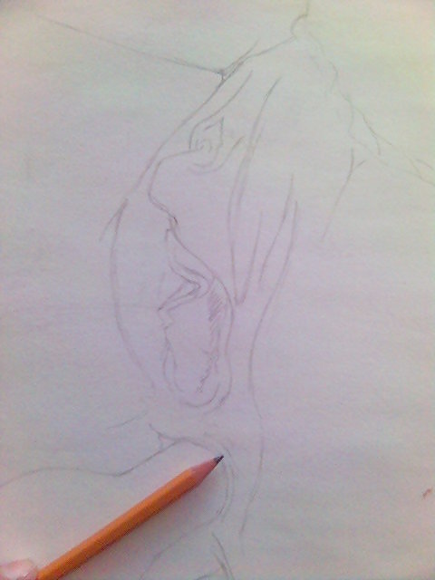 Free inspired by an amateur VIII photos