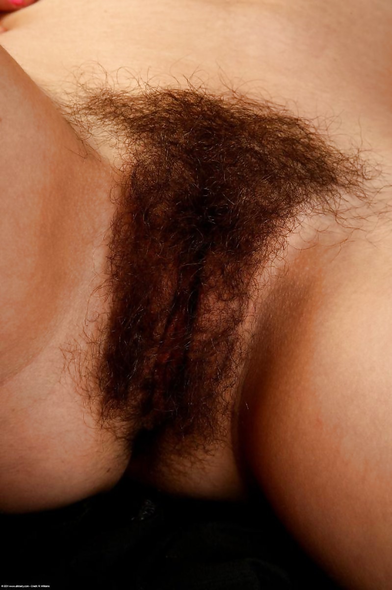 Free My Hairy Pussy Collection photos
