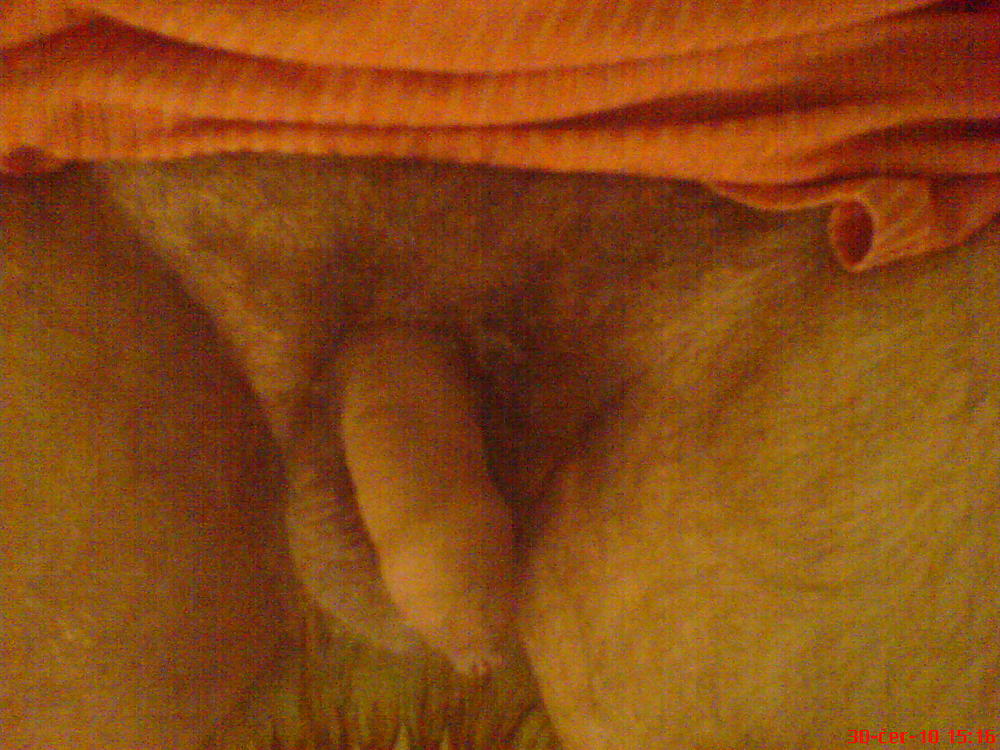 Free my little sausage photos