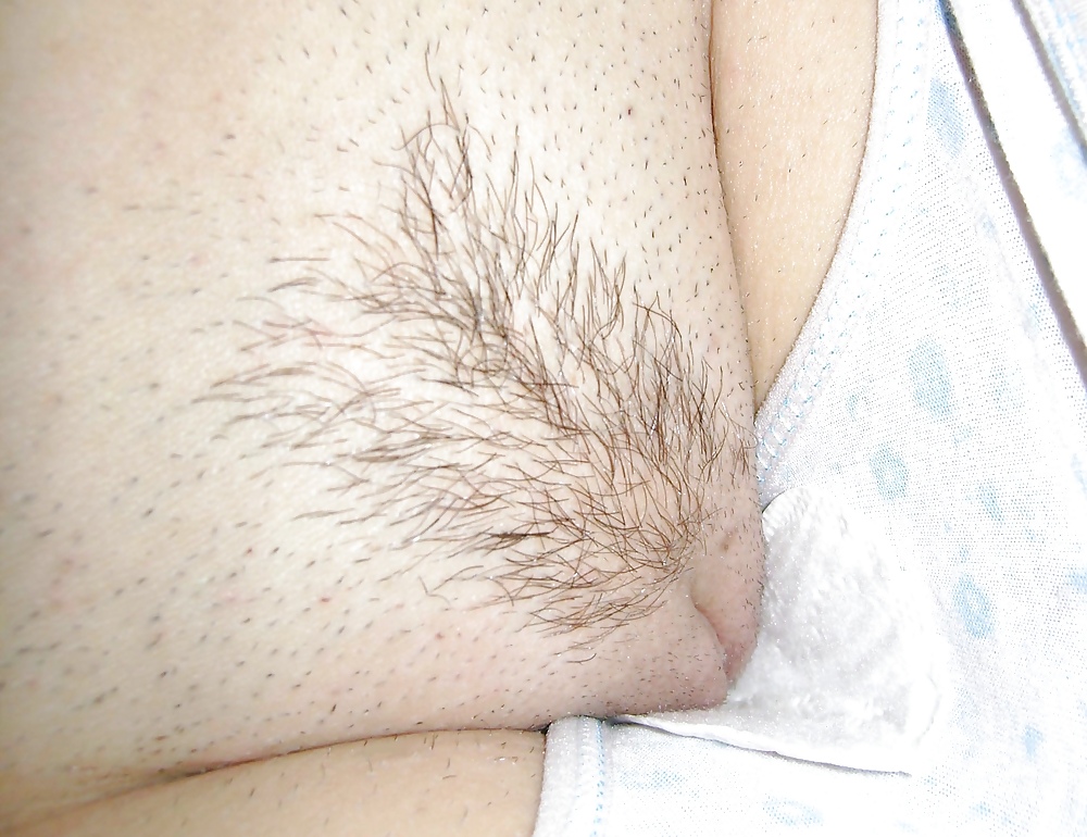 Free Chyafan 501-550 photos