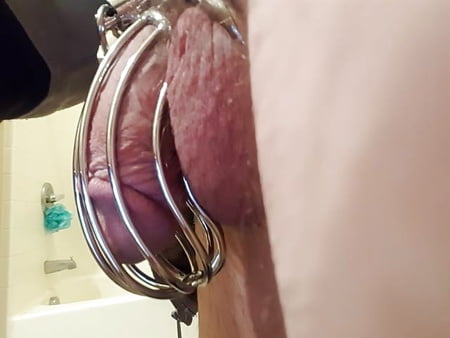 chastity cage, cuckold me