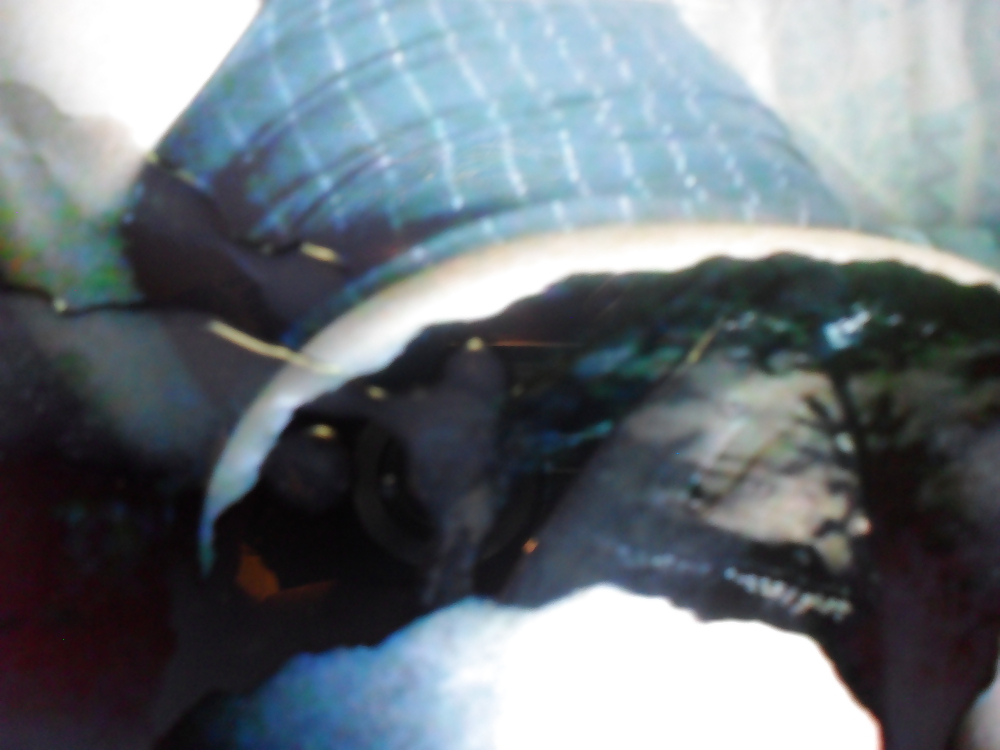 Free cumshot use annah photos