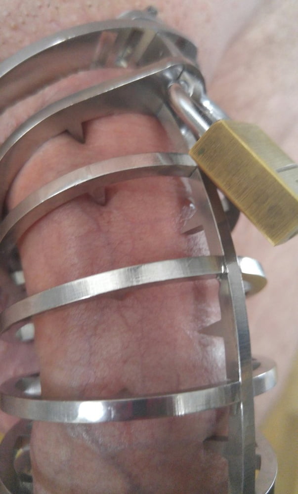 Spiked Cock Cage 32 Pics Xhamster