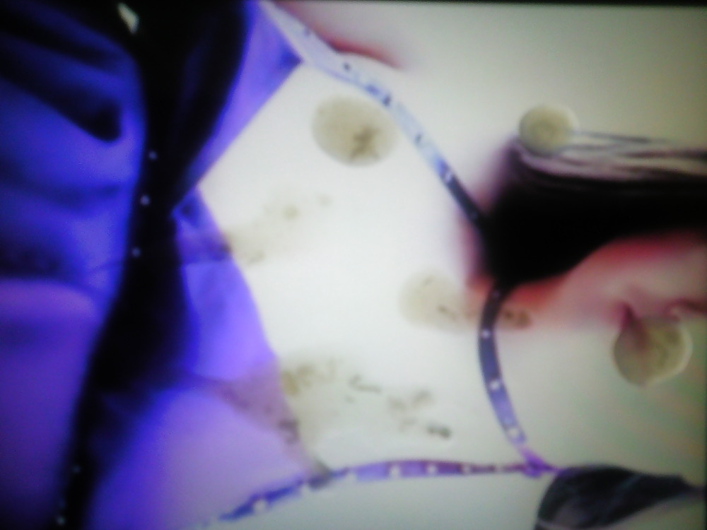 Free Tribute To Beauty Jimmyblue photos