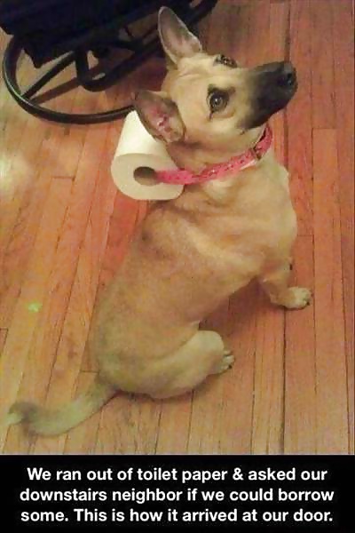 Free Girls and Diverses 5 photos