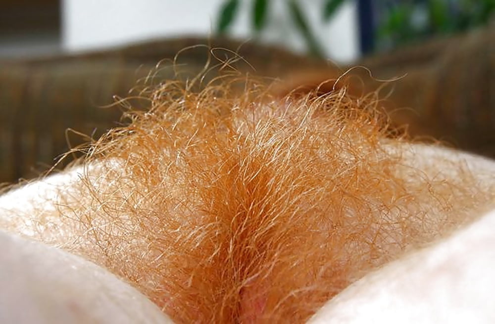 Orange Pubic Hair with Freckles #5 - 138 Photos 