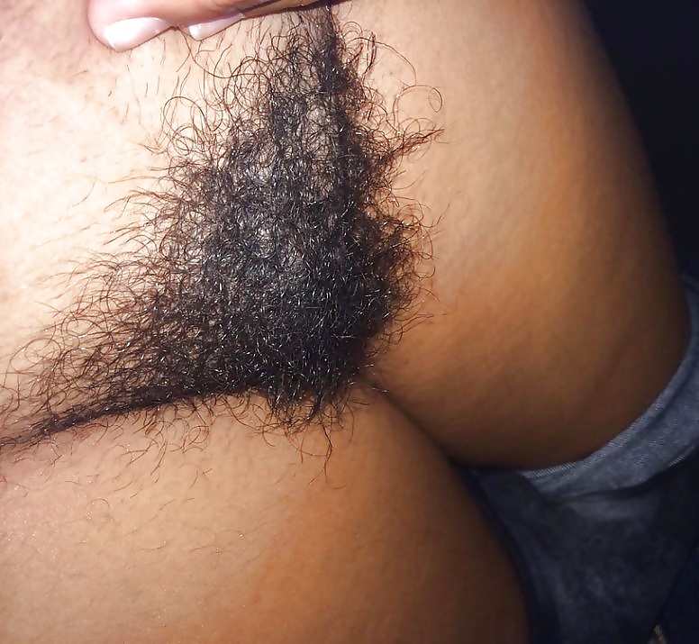 Free Hairy Pussy Mix 10 photos