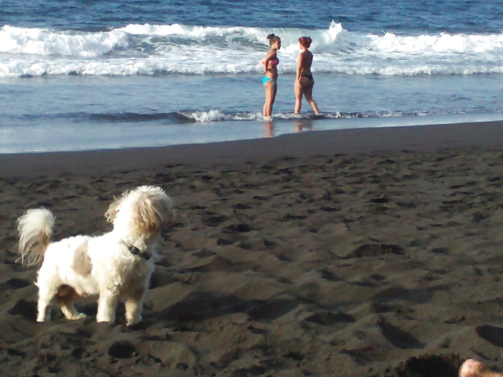 Free beach voyeur photos