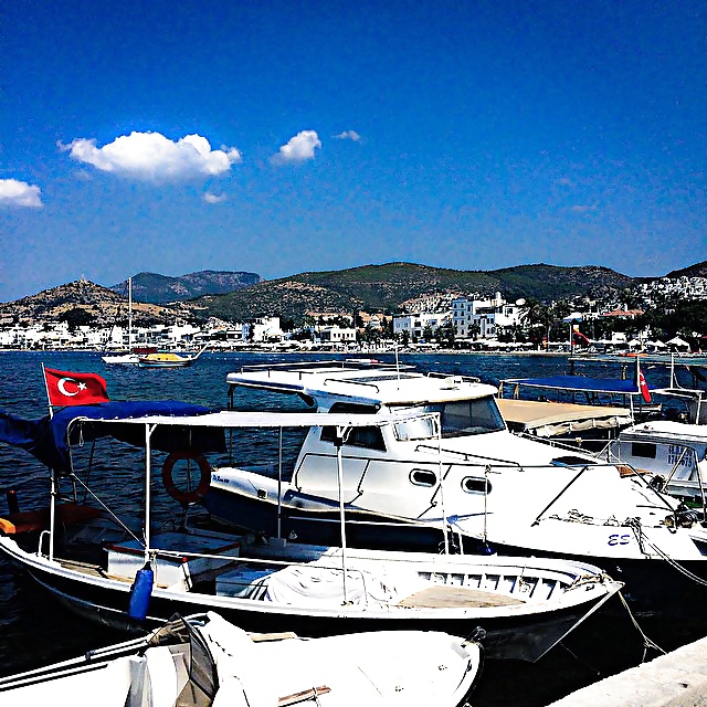 Free turkish guzeli tanga bikini 2 photos